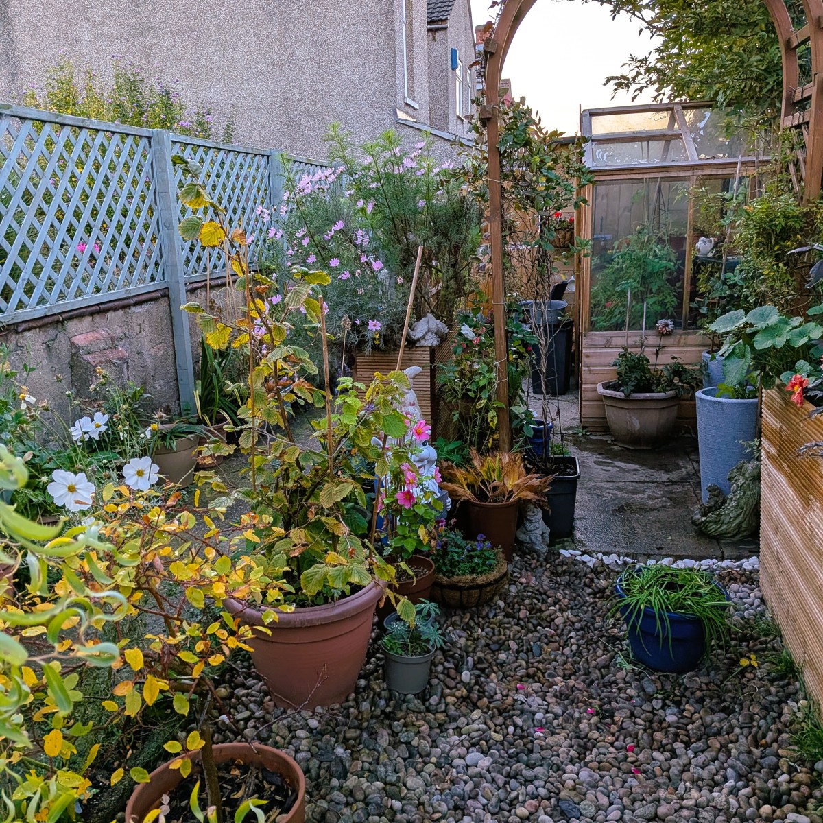 Autumn and the&nbsp;Swirl