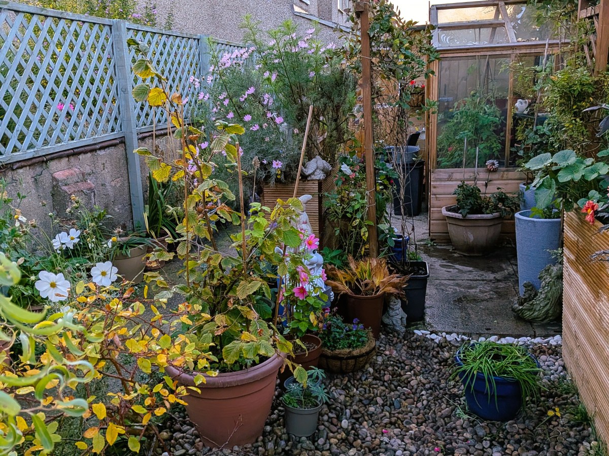 Autumn and the&nbsp;Swirl