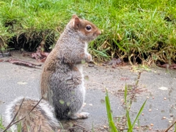 Mid Point: Migraine and Mixed Feelings 