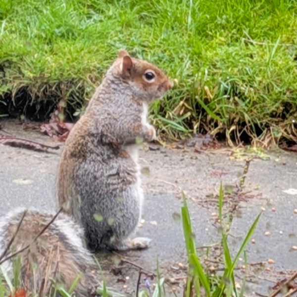 Mid Point: Migraine and Mixed Feelings 