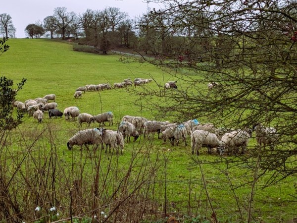 Notes from the&nbsp;Quiet