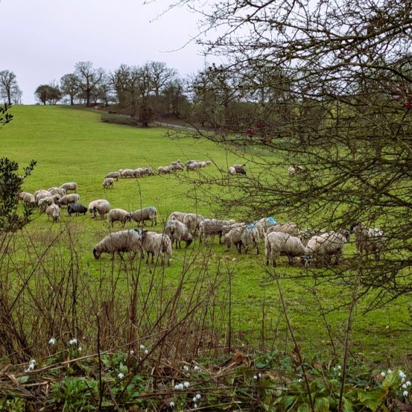 Notes from the&nbsp;Quiet