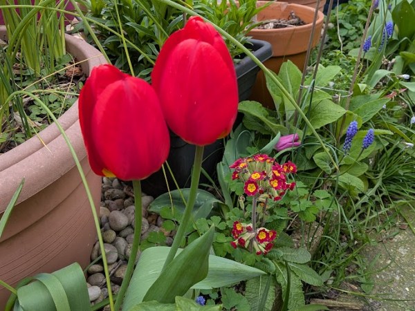 Cultivating the Rhythm of&nbsp;Life